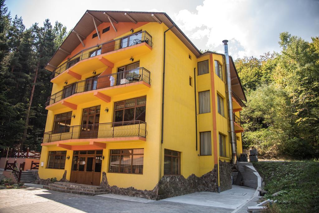 Hotel Trei Brazi Baile Olanesti Luaran gambar